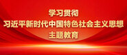 大鸡巴插逼视频看看学习贯彻习近平新时代中国特色社会主义思想主题教育_fororder_ad-371X160(2)